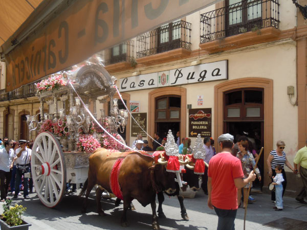 HERMANDAD DE LA VIRGEN DEL ROCIO DE ALMERA - CAMINO DEL ROCIO JUNIO 2011