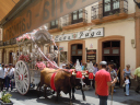 HERMANDAD DE LA VIRGEN DEL ROCIO DE ALMERA - CAMINO DEL ROCIO JUNIO 2011