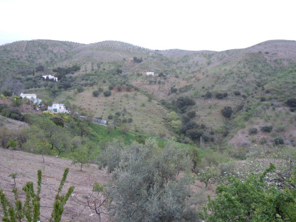 DSCN0199